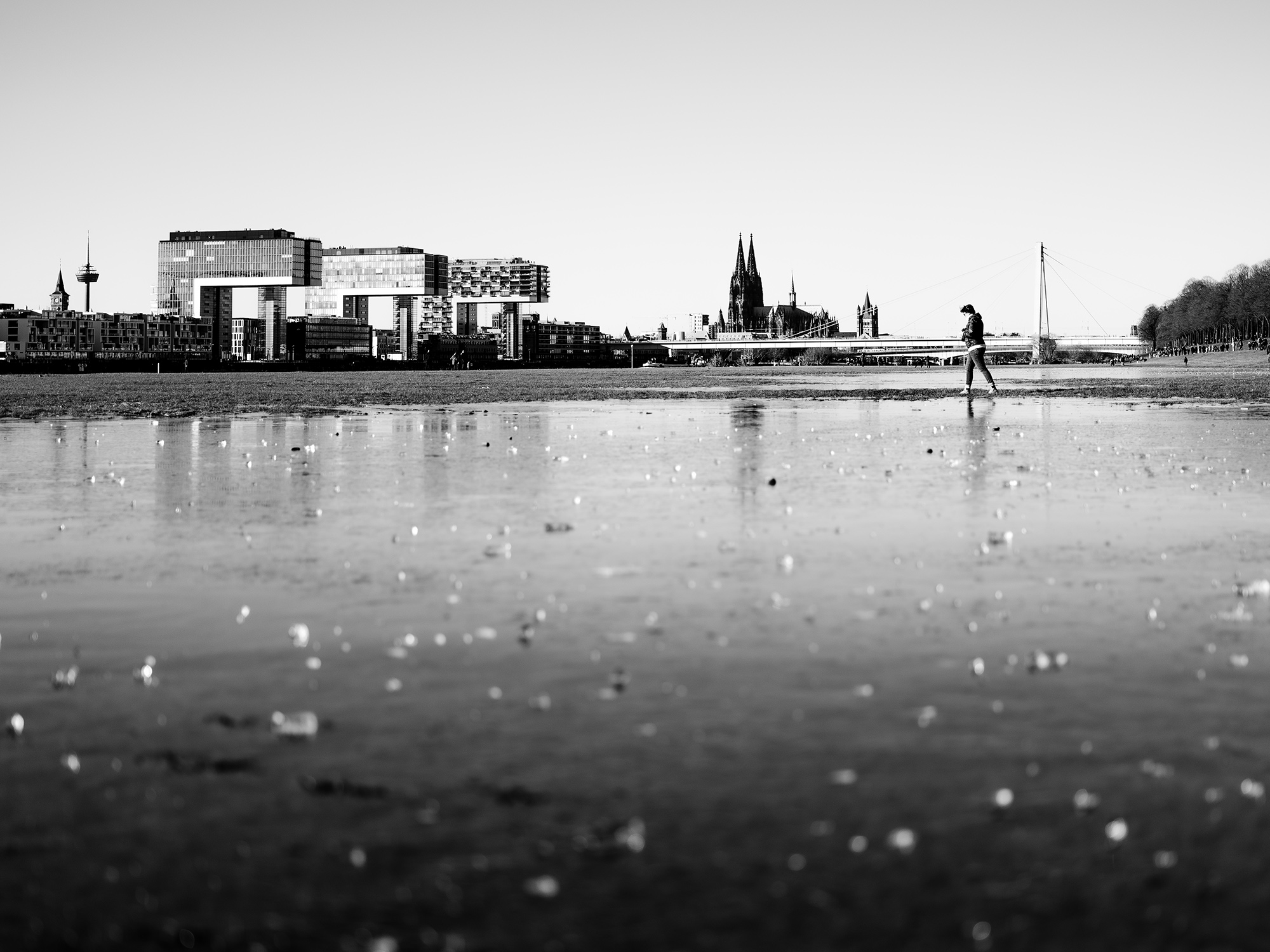 Hochwasser Köln ⎢ Februar 2021