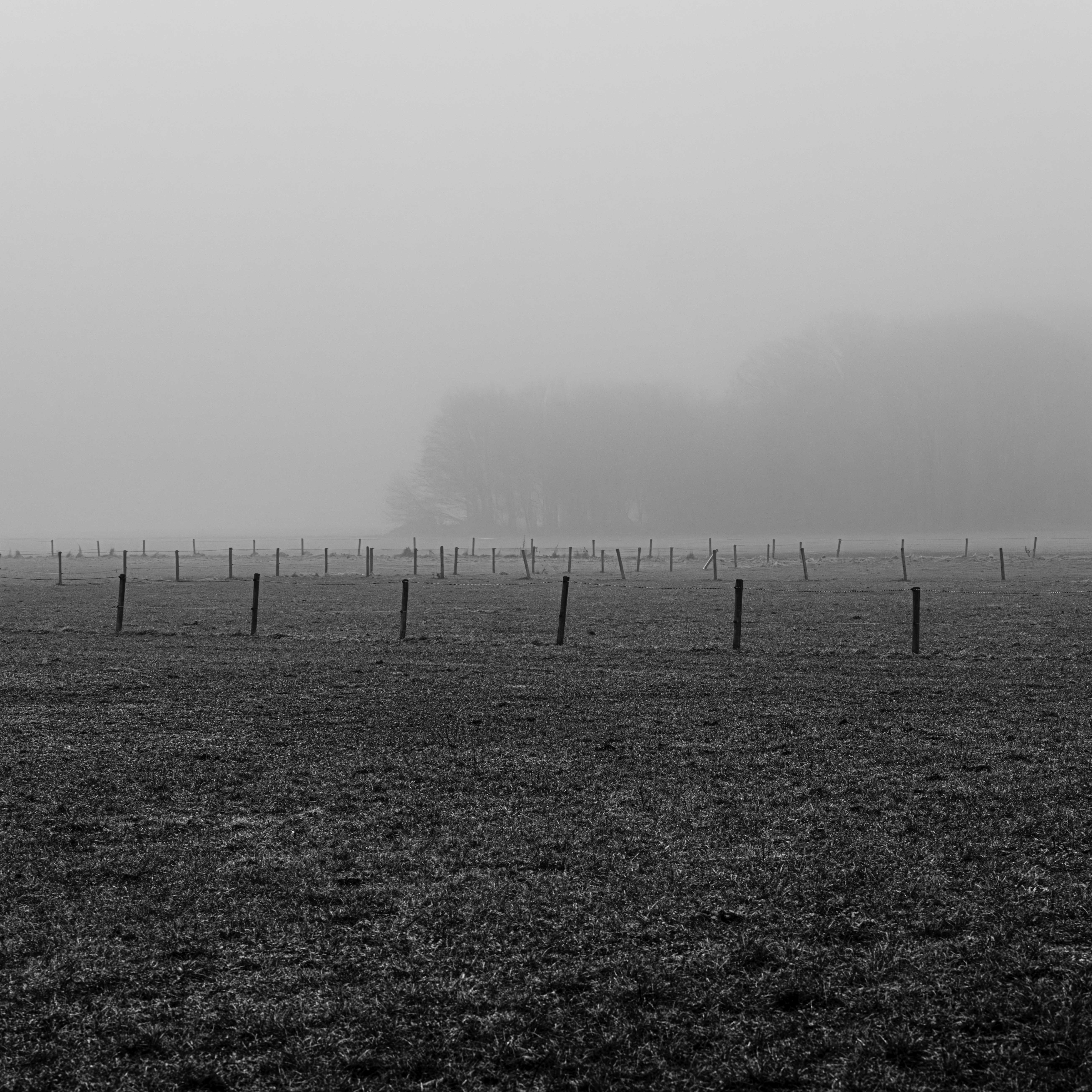 Winter im Kölner Süden | ESCHER | fotografie